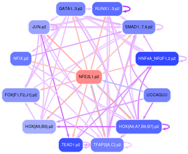 PNG image of the network