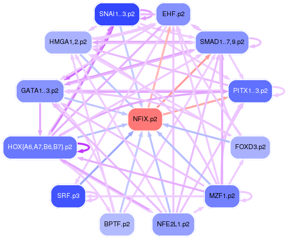 PNG image of the network
