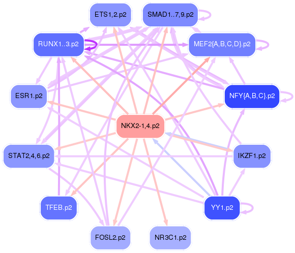 PNG image of the network