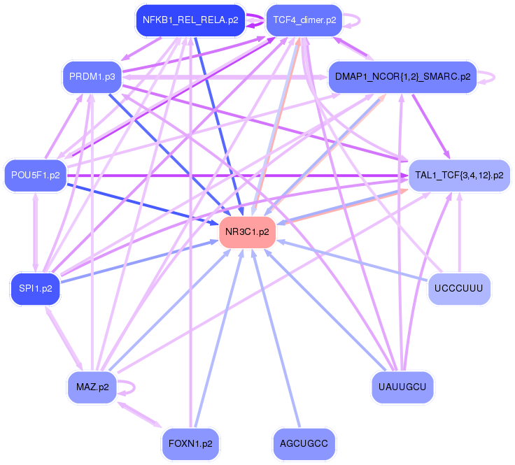 PNG image of the network