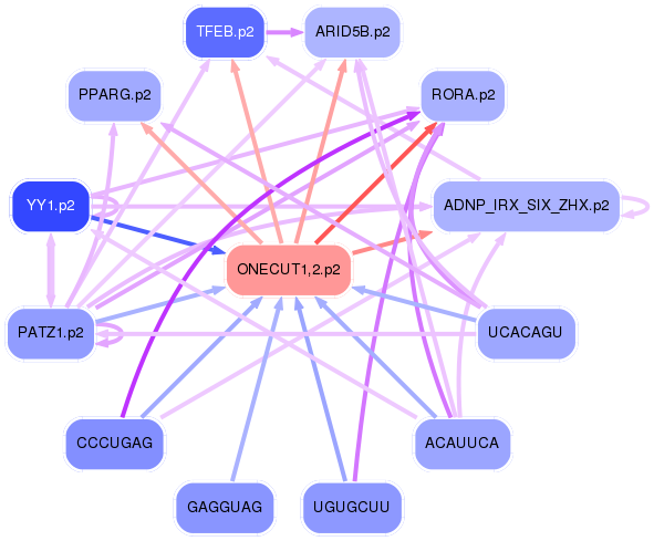 PNG image of the network