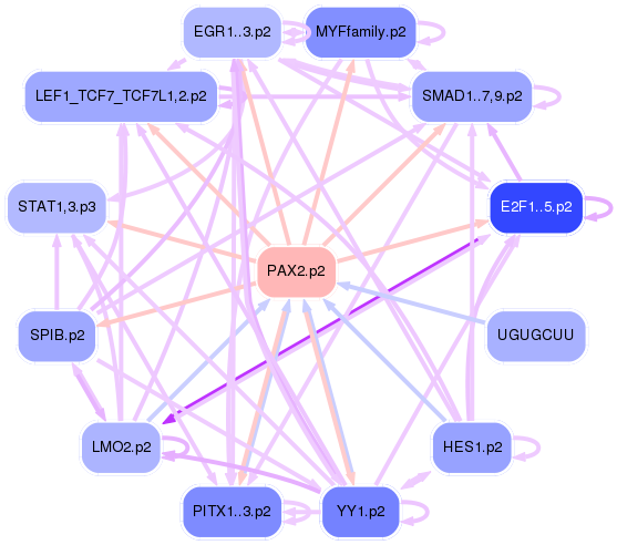 PNG image of the network
