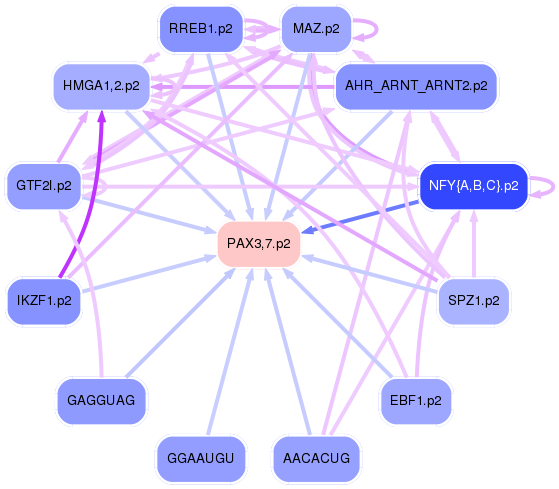 PNG image of the network