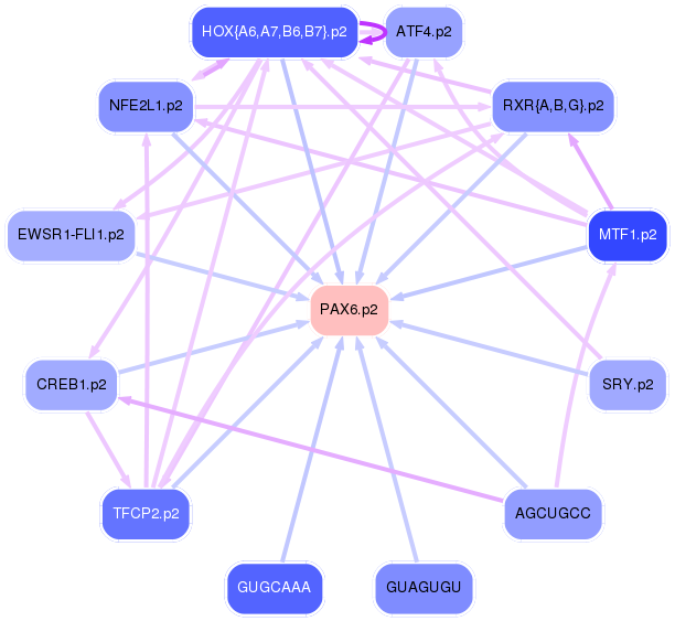 PNG image of the network