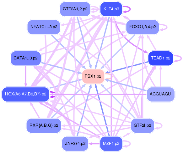 PNG image of the network