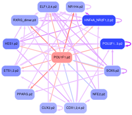 PNG image of the network