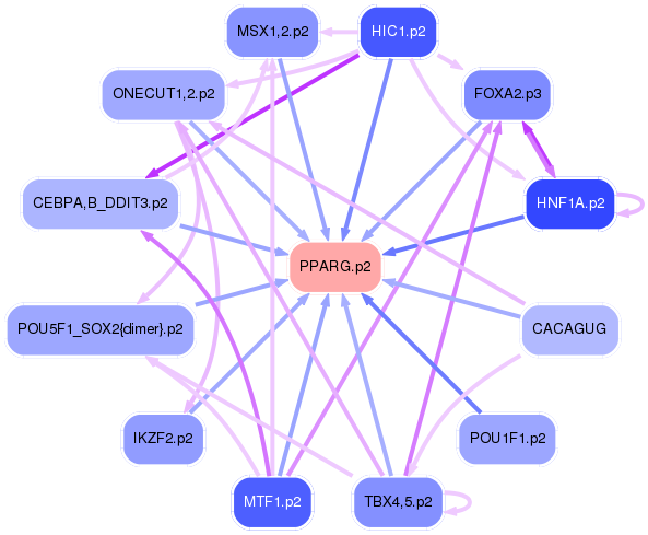PNG image of the network
