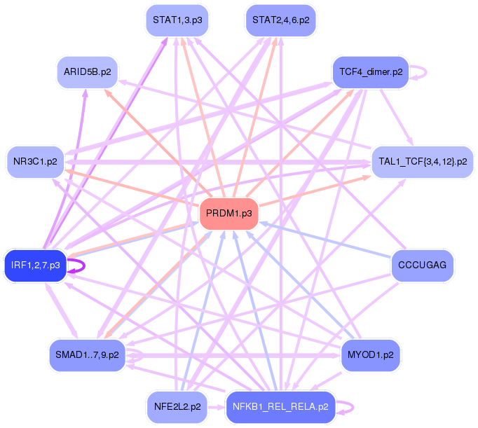 PNG image of the network