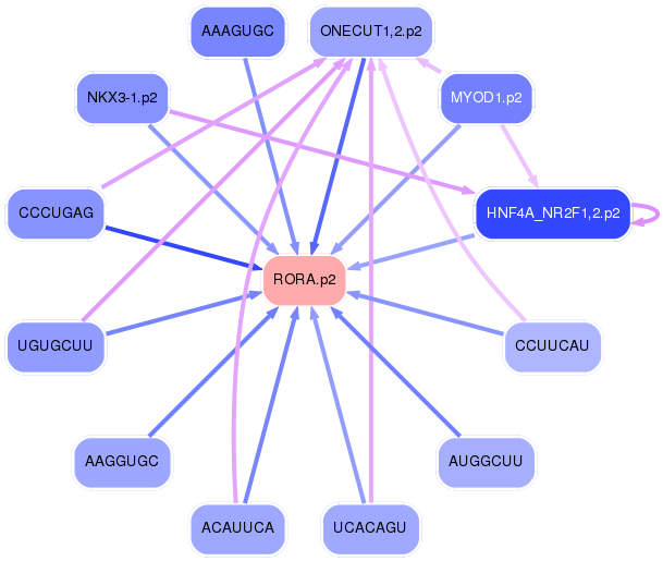 PNG image of the network