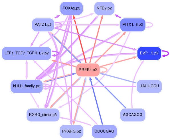 PNG image of the network