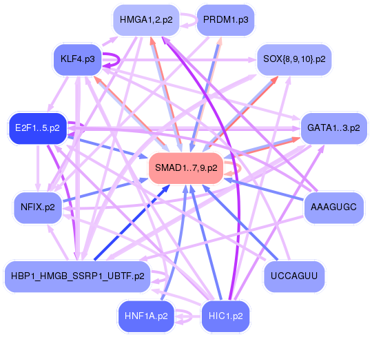 PNG image of the network