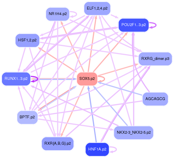 PNG image of the network