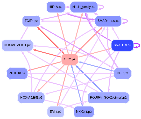 PNG image of the network