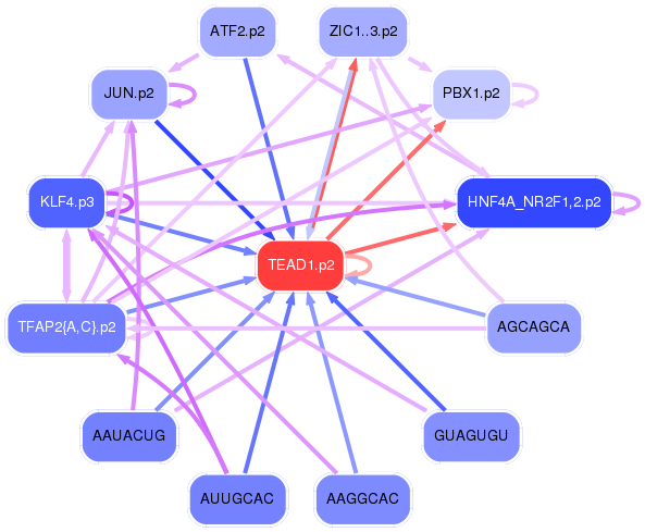 PNG image of the network