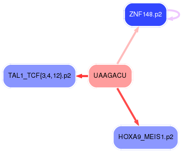 PNG image of the network