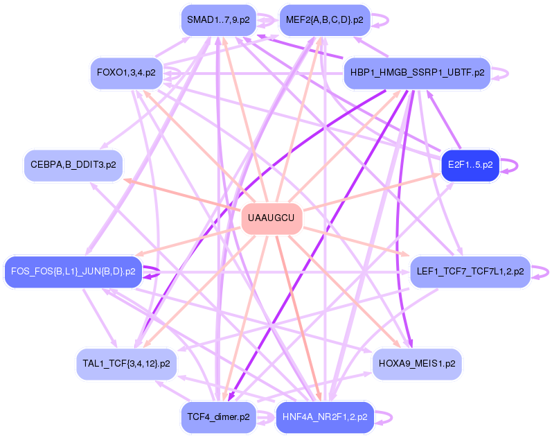 PNG image of the network