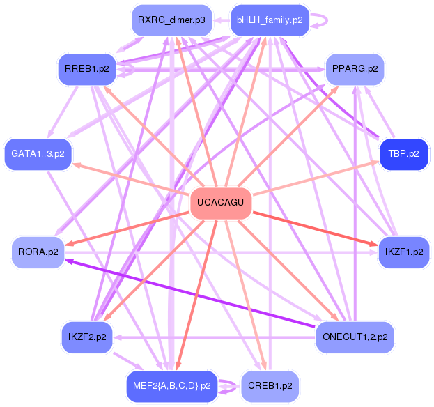 PNG image of the network