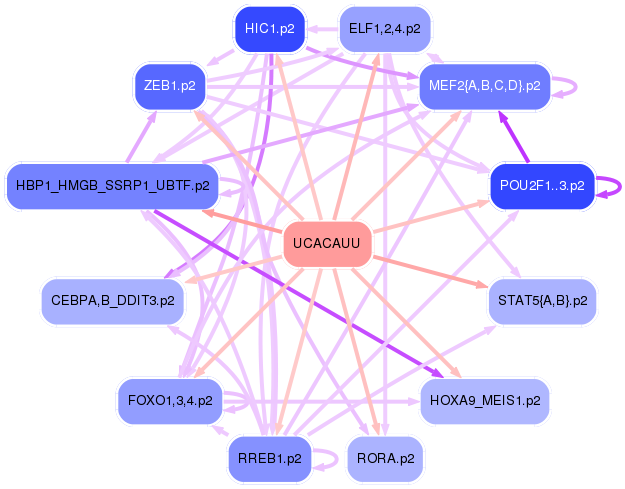 PNG image of the network