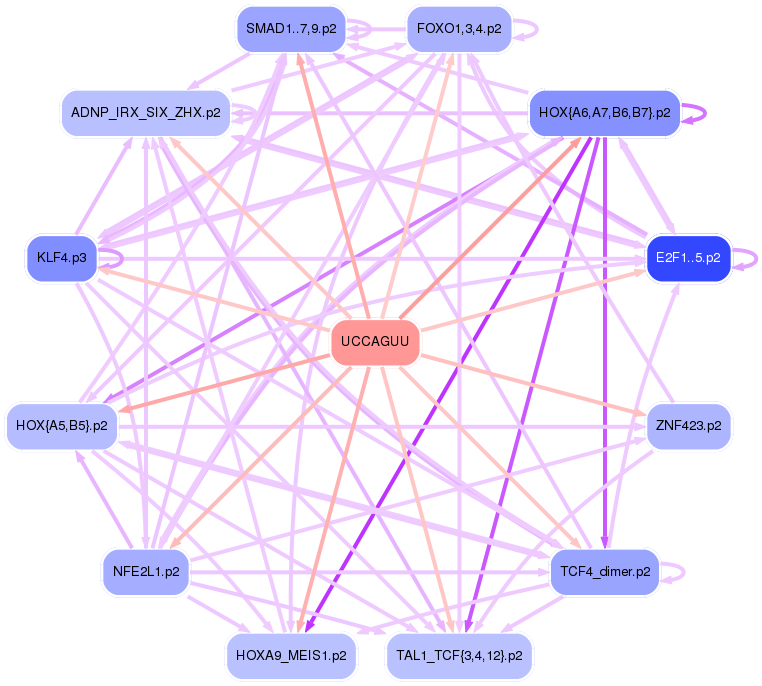 PNG image of the network