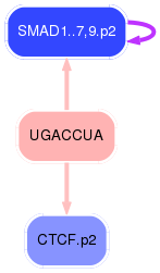 PNG image of the network