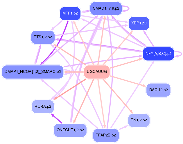 PNG image of the network