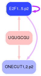 PNG image of the network