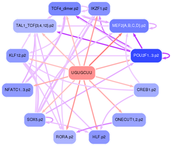 PNG image of the network