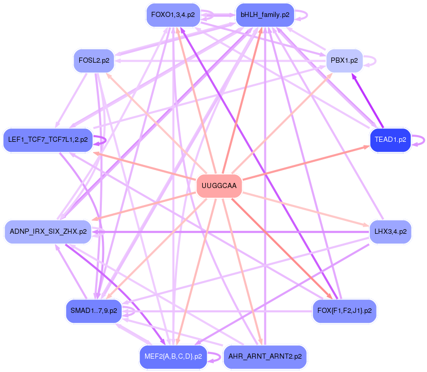 PNG image of the network