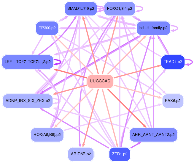 PNG image of the network