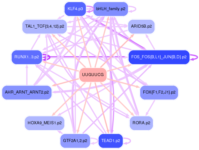 PNG image of the network