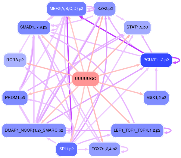PNG image of the network