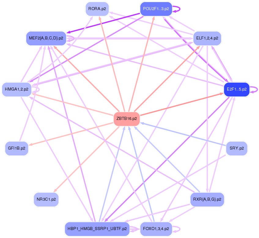 PNG image of the network