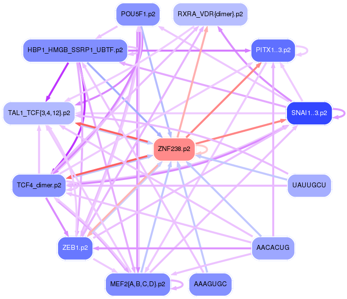 PNG image of the network