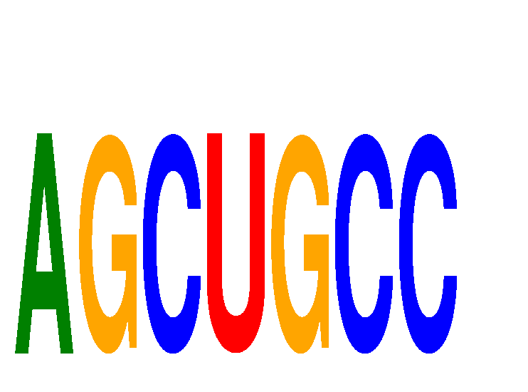 SeqLogo of AGCUGCC