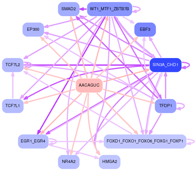 PNG image of the network