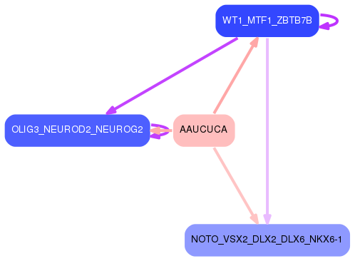 PNG image of the network