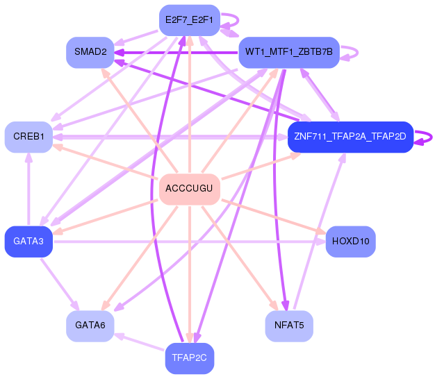 PNG image of the network