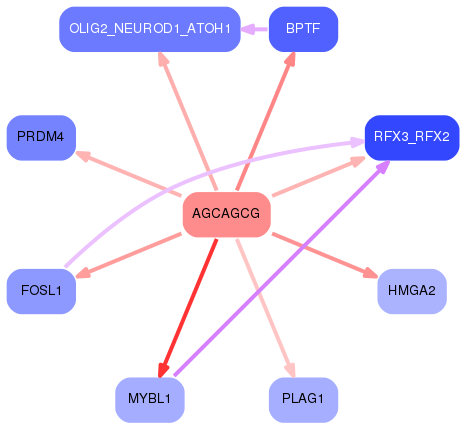 PNG image of the network