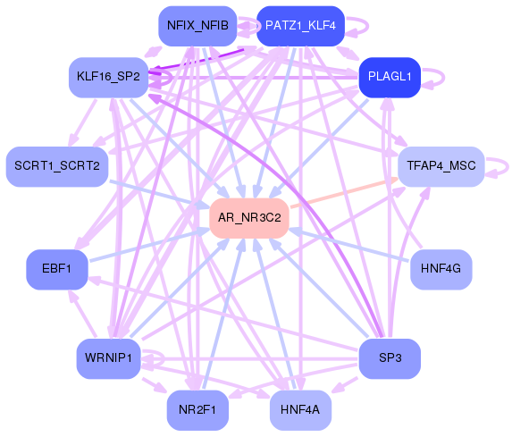 PNG image of the network