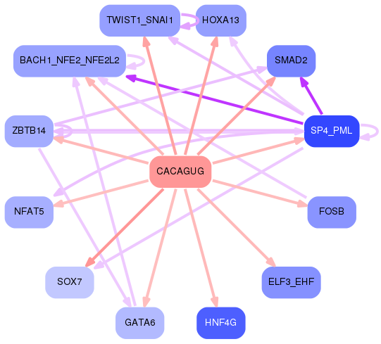 PNG image of the network