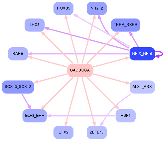 PNG image of the network