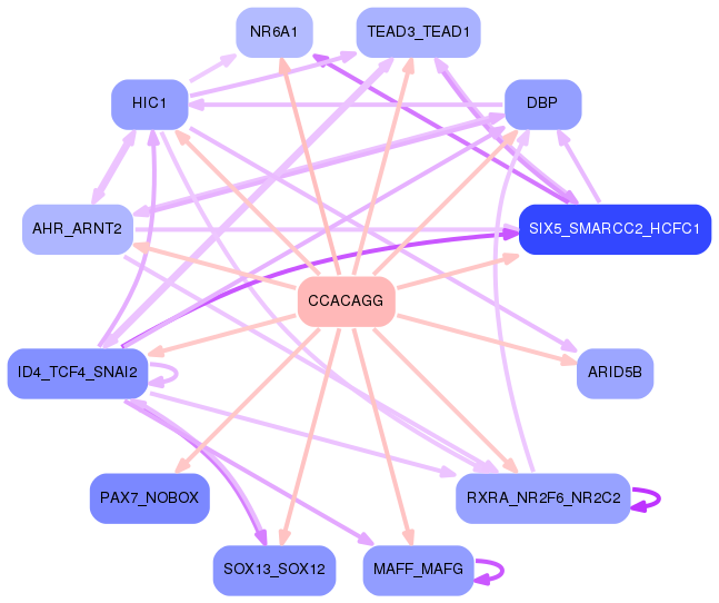 PNG image of the network