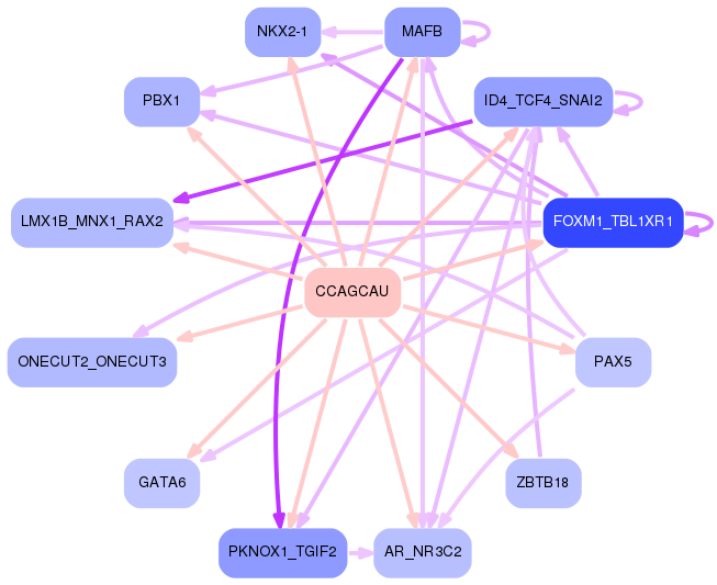 PNG image of the network