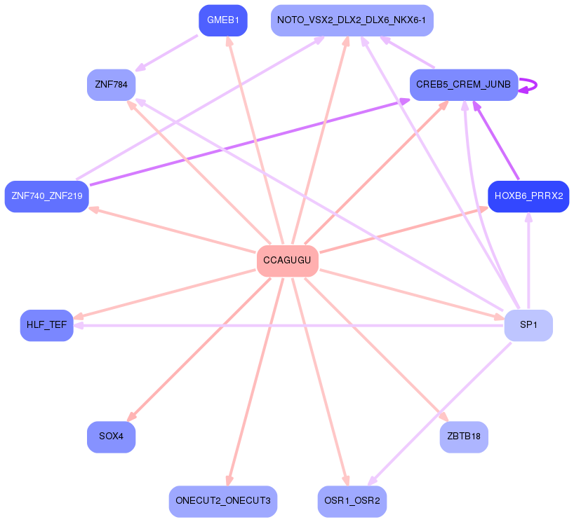 PNG image of the network
