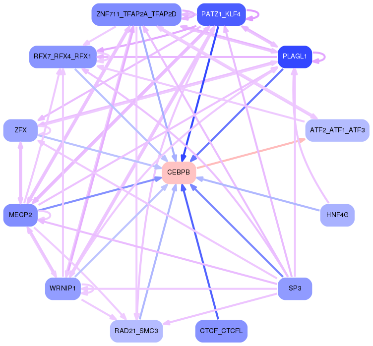 PNG image of the network