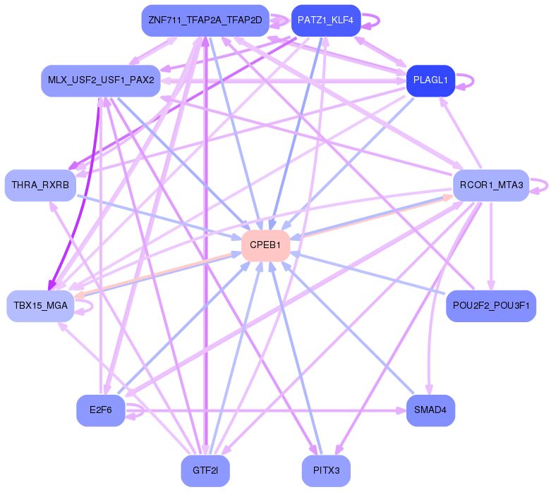 PNG image of the network