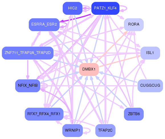 PNG image of the network