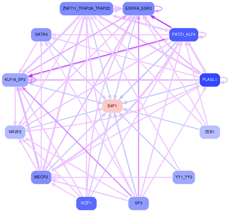 PNG image of the network