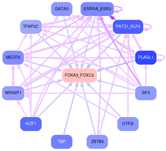PNG image of the network