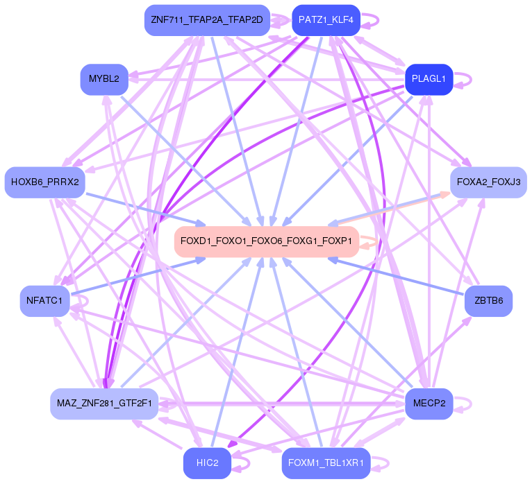 PNG image of the network